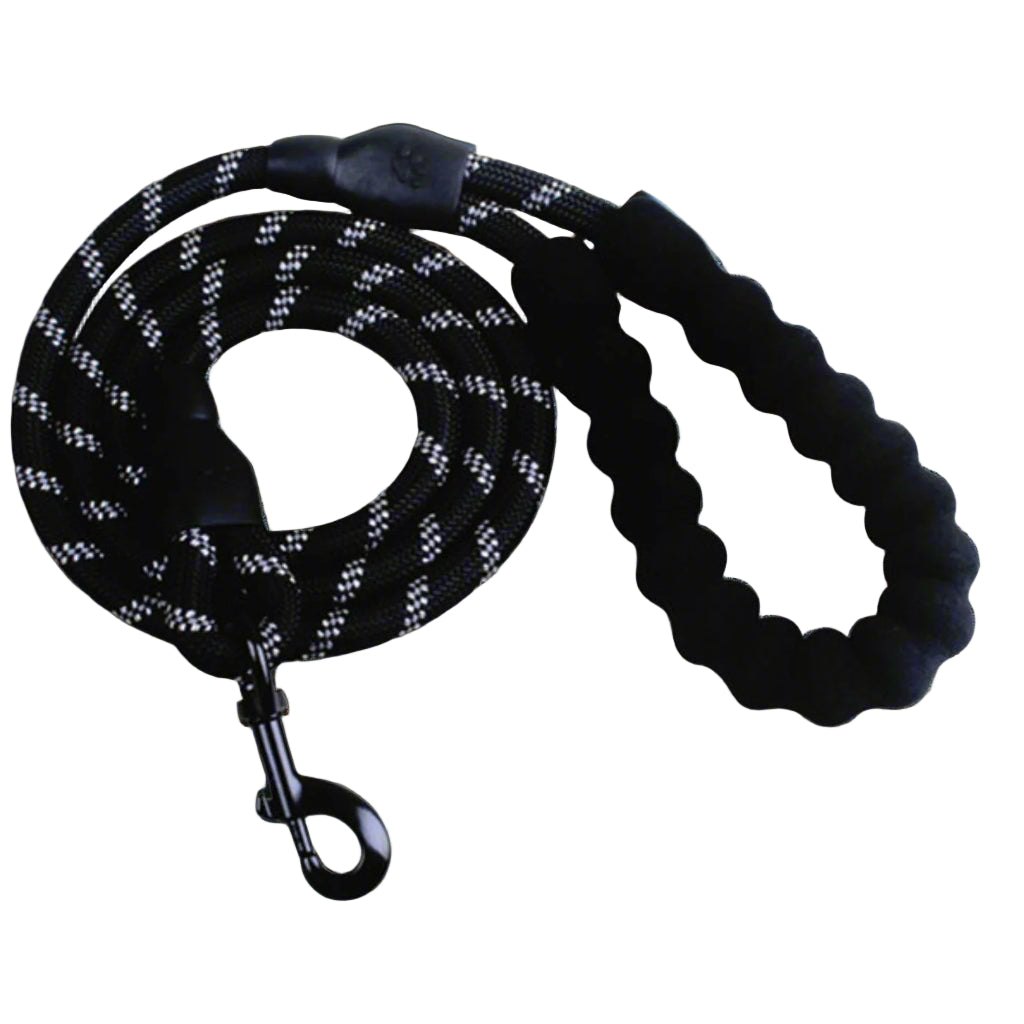 Reflective Nylon Leash