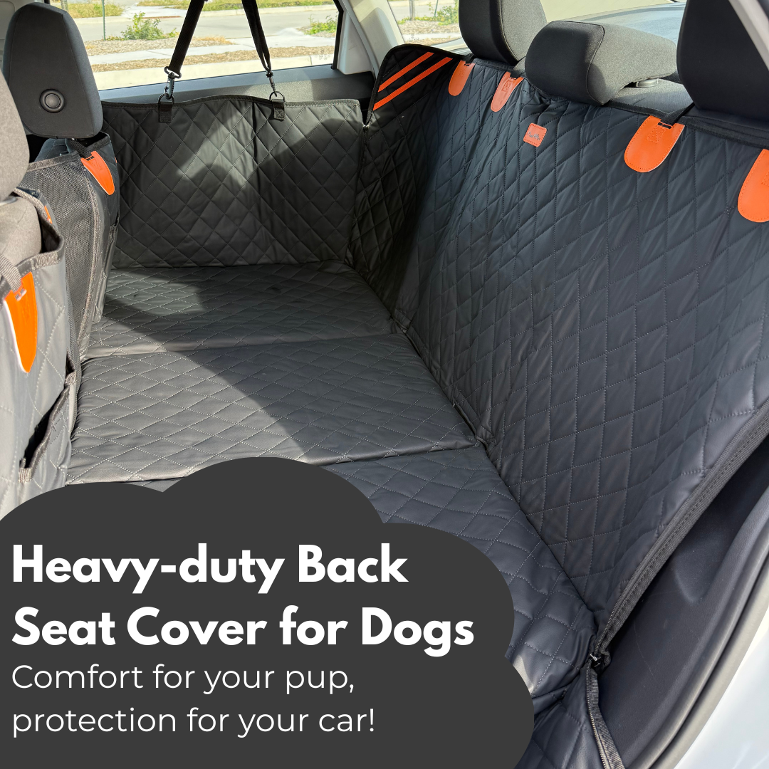 Heavy-Duty Dog Back Seat Cover
